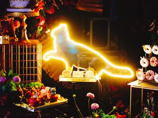 寧波元旦晚會搭配燈光租賃設(shè)備找誰？